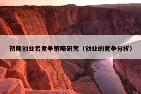初期创业者竞争策略研究（创业的竞争分析）