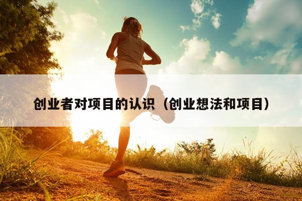 创业者对项目的认识（创业想法和项目）