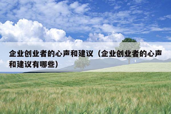 企业创业者的心声和建议（企业创业者的心声和建议有哪些）