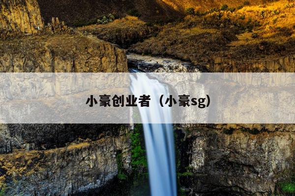 小豪创业者（小豪sg）