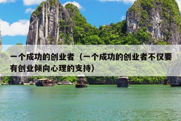 一个成功的创业者（一个成功的创业者不仅要有创业倾向心理的支持）