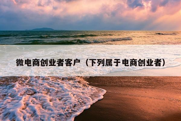 微电商创业者客户（下列属于电商创业者）