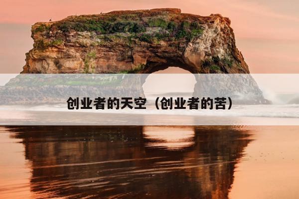 创业者的天空（创业者的苦）