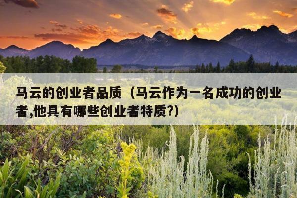 马云的创业者品质（马云作为一名成功的创业者,他具有哪些创业者特质?）