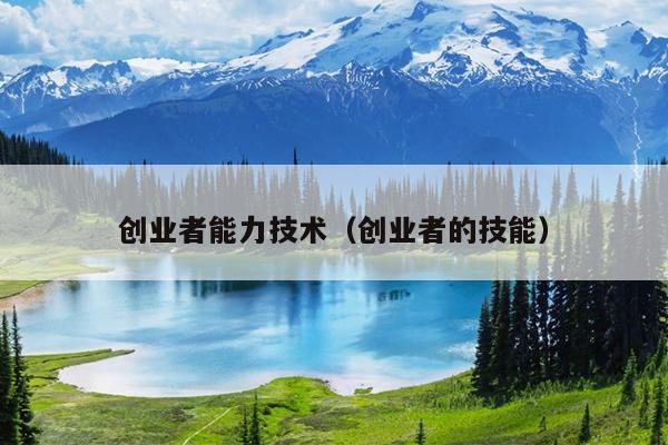 创业者能力技术（创业者的技能）