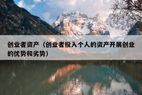 创业者资产（创业者投入个人的资产开展创业的优势和劣势）