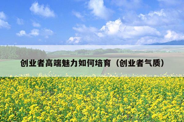 创业者高端魅力如何培育（创业者气质）