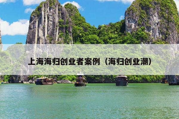 上海海归创业者案例（海归创业潮）