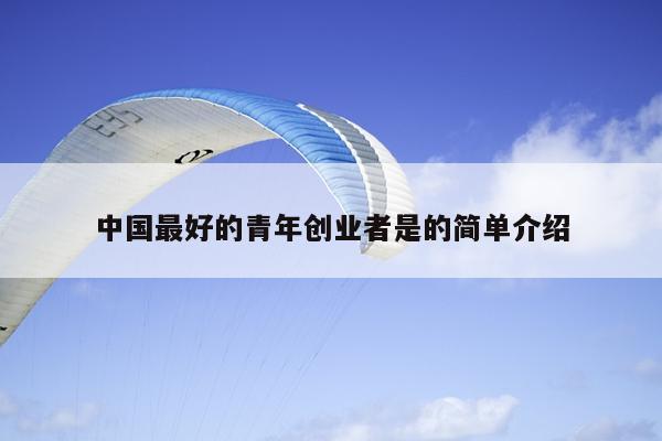 中国最好的青年创业者是的简单介绍