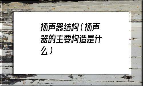 扬声器结构原理(扬声器结构设计)