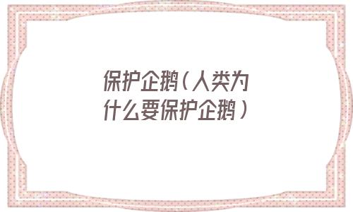 保护企鹅的措施(保护企鹅我们应该做些什么)