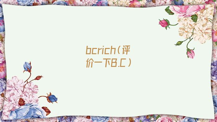 bcrich电吉他(bcrich电吉他怎么样)