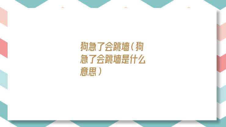 狗急了会跳墙什么意思(狗急了会跳墙 兔子急了会咬人)