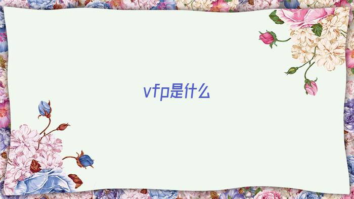 vfp是什么语言(vfp是什么类型的数据库)