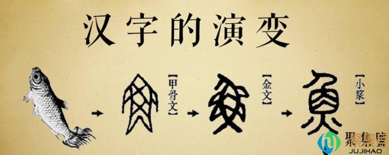 关于汉字演变过程的资料(汉字的发展演变过程)