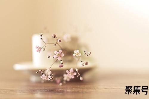 怎样领花呗临时额度(花呗的临时额度怎么申请)