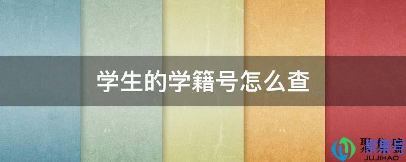 学生的学籍号怎么查询(中小学生的学籍号怎么查)