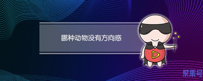 哪种动物没有方向感脑筋急转弯(哪种动物没有方向感)