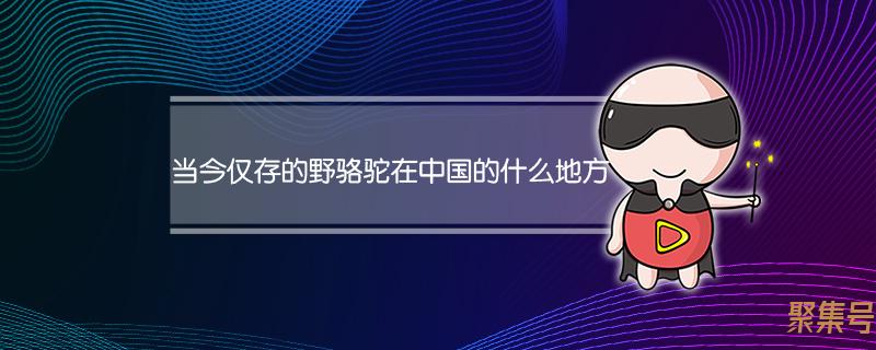 当世仅存的野骆驼存在于中国的哪里(我国仅存的野骆驼在什么地方)