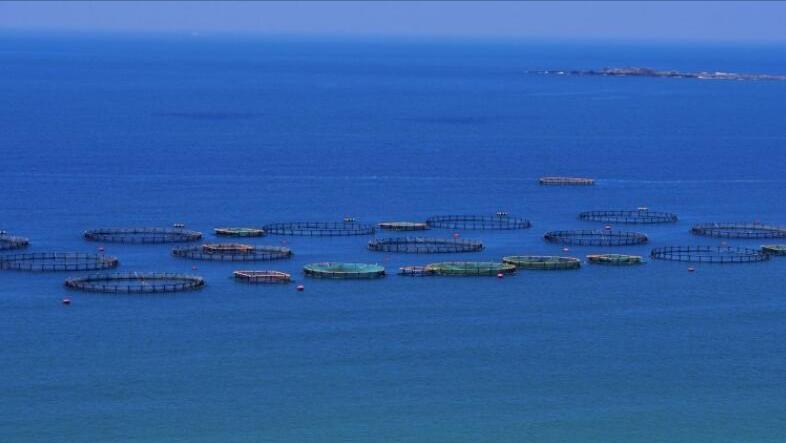 2035去台湾是什么梗（2035去台湾歌词）