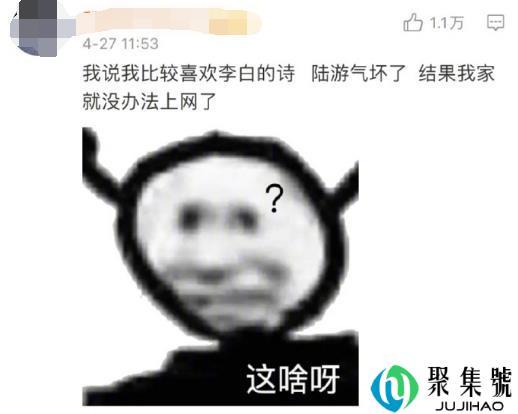 我喜欢李白的诗了陆游气坏了是什么梗，谐音梗冷笑话下一句怎么接