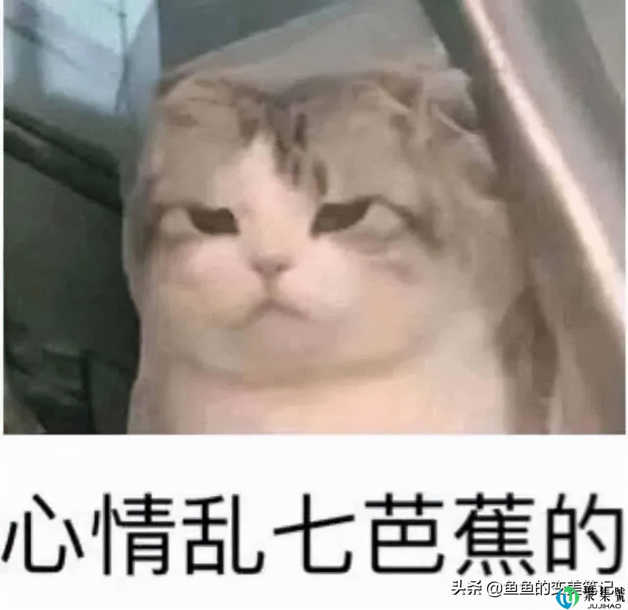 军训必备好物丨用过“完美芦荟胶、欧莱雅防晒,olay小白瓶”吗?