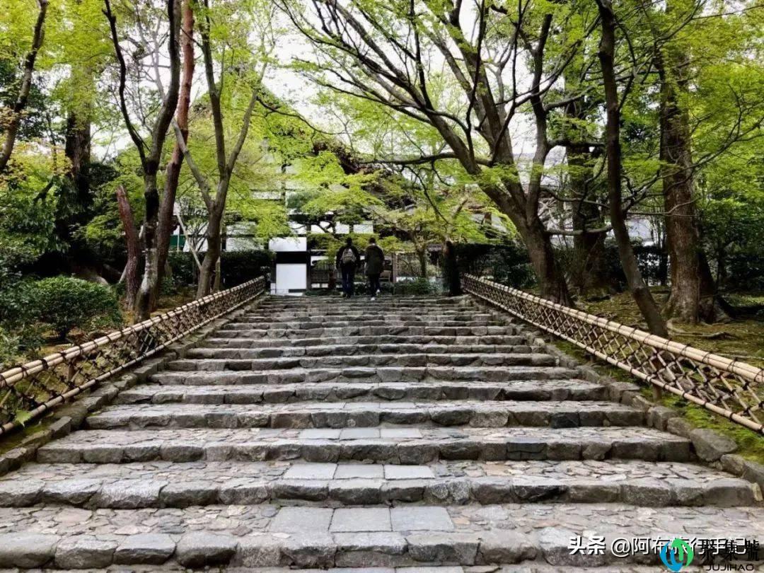 从只去1次到至少30次,来个认真的,日本旅游进阶指南