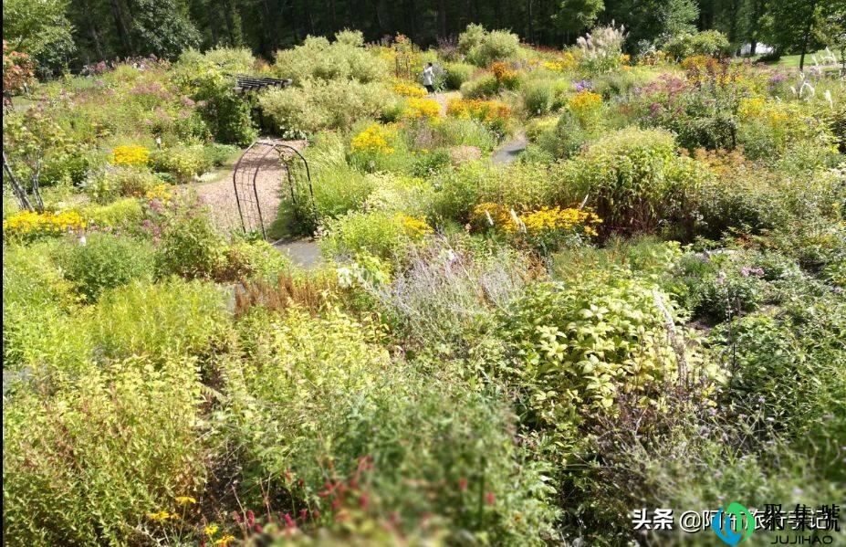 从只去1次到至少30次,来个认真的,日本旅游进阶指南