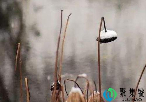 小雪节气天气下雪好还是晴天好(小雪节气下雪了)