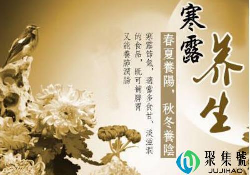 寒露养生吃什么蔬菜(寒露适合吃什么食物)