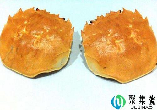 螃蟹壳是干垃圾还是湿垃圾 用过的猫砂属于什么垃圾