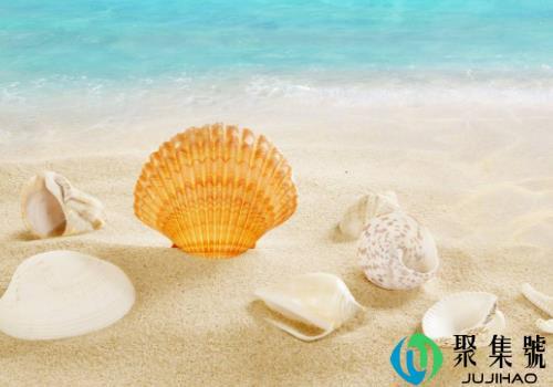 送贝壳代表什么意义 男生送女生贝壳啥意思