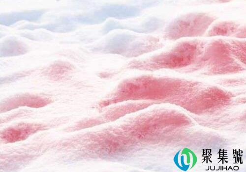  西瓜雪有没有西瓜味 是植物吗