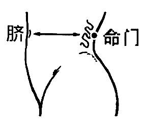 按摩哪个部位可以强肾(正确按摩腰肾的方法)