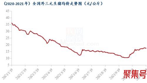 猪价格今日猪价格全国走势(猪价行情)