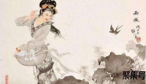 关于赞美女词句（文案素材)
