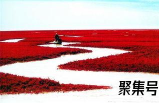关于凝望红海滩的词句赏析（文案素材)