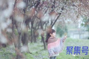 关于寄予期望的词句（文案素材)