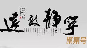 关于职场里炮灰的词句（文案素材)