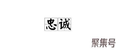 关于形容忠诚的词句（文案素材)
