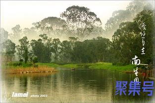关于关于青山隐隐绿水悠悠的词句（文案素材)