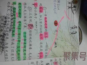 关于燕子外形特点的词句（文案素材)