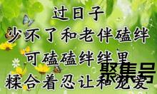 关于表扬老伴的优美词句（文案素材)