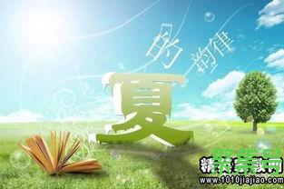 关于关于夏的优美词句（文案素材)