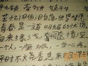 关于优美词句50字（文案素材)