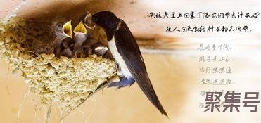 关于温暖一生的亲情的优美词句（文案素材)