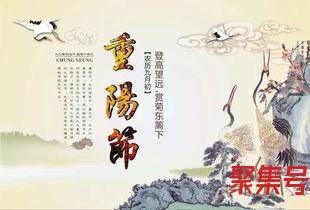 关于祝福重阳词句（文案素材)