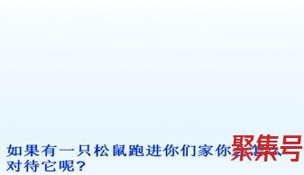 关于松鼠字词句（文案素材)