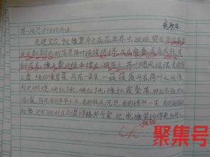 关于写人地优秀词句（文案素材)