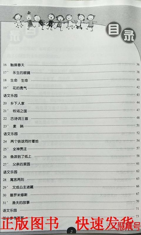 关于四年级字词句篇章（文案素材)